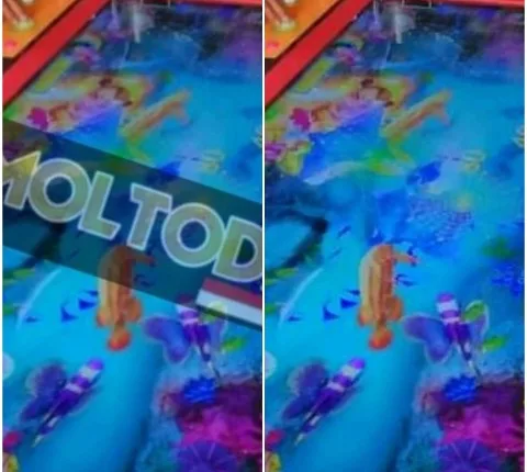 foto slider headline